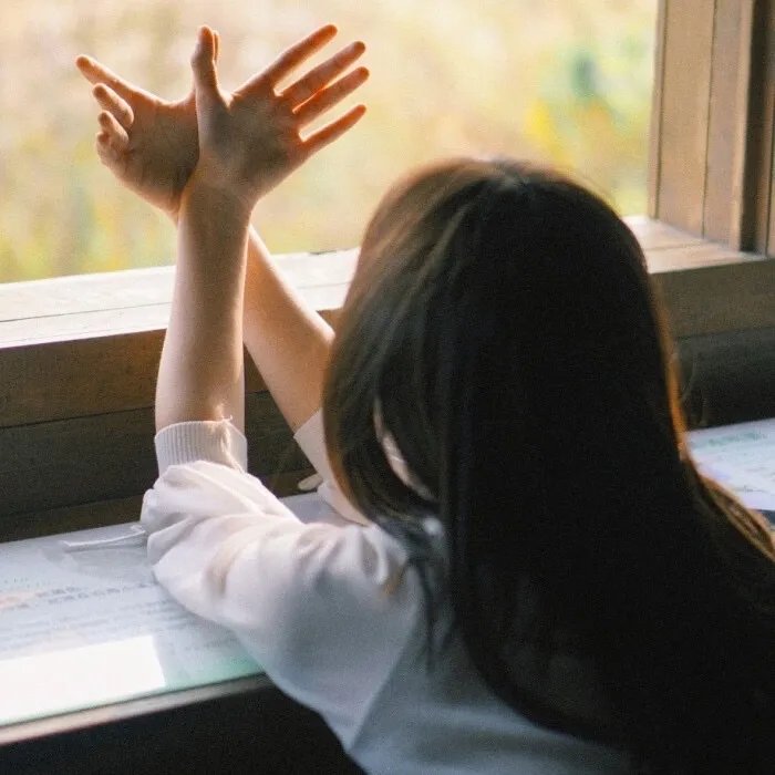 我的幸福婚约2023